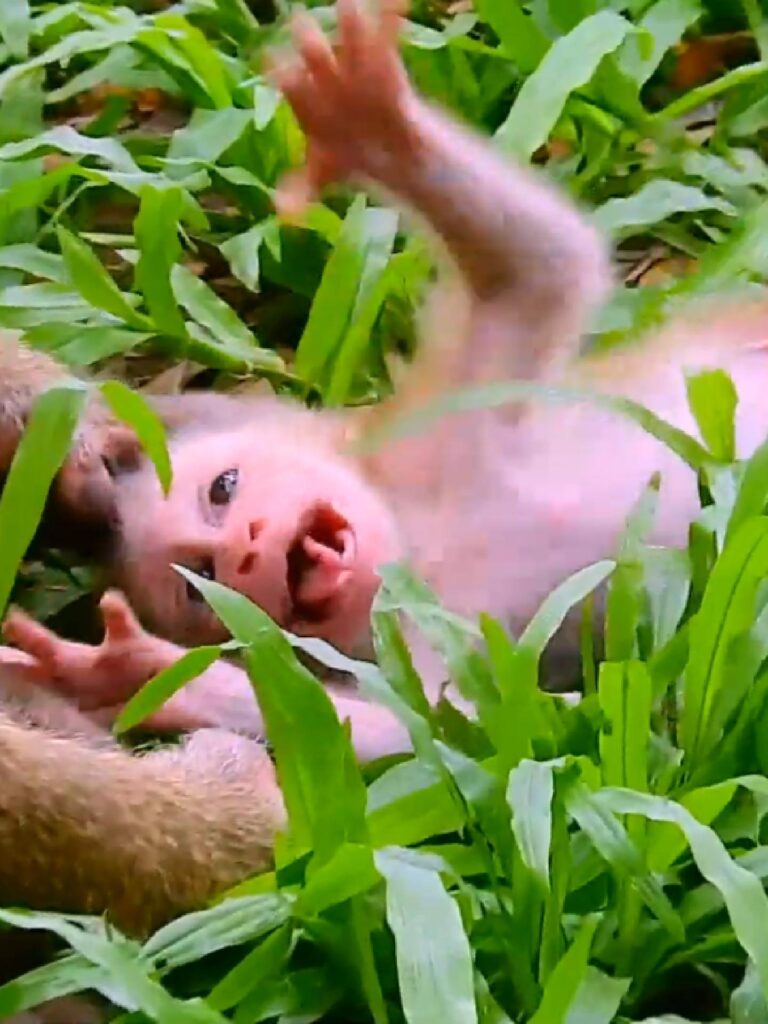 Excuse me Mummy, Can I get milk